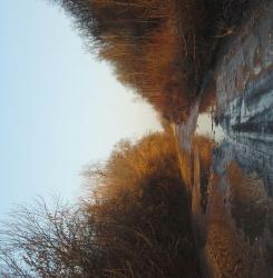 post-12688-0-71756200-1396090573_thumb.j