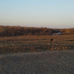 post-12688-0-94438200-1396090229_thumb.p