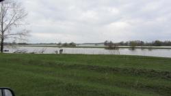 post-16248-0-87303400-1395061644_thumb.j