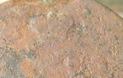 post-1644-0-14231700-1395838215_thumb.jp