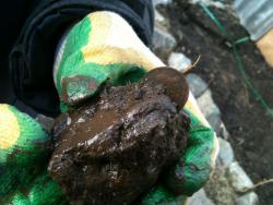 post-1724-0-02549600-1396165640_thumb.jp