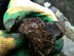 post-1724-0-09924100-1396165684_thumb.jp