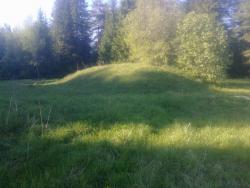 post-17677-0-98056300-1394728947_thumb.j