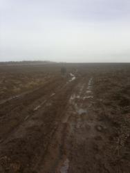 post-20232-0-72255900-1394992237_thumb.j