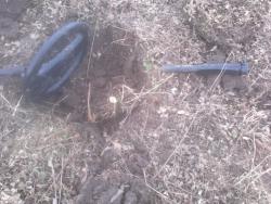 post-20232-0-87673800-1394992257_thumb.j