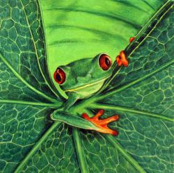 post-2202-0-16921900-1394421622_thumb.jp