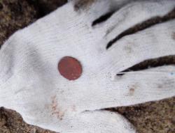 post-26744-0-44941300-1396188211_thumb.j