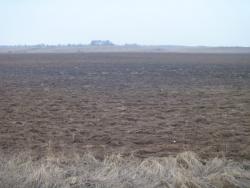 post-27393-0-18111200-1394032499_thumb.j