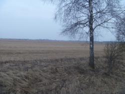 post-27393-0-22156200-1394032599_thumb.j