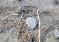 post-27646-0-05785400-1395149010_thumb.j