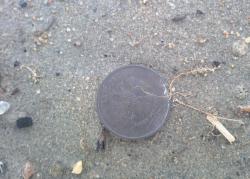 post-27646-0-17951300-1395149131_thumb.j