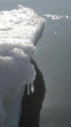 post-27646-0-19126100-1395067506_thumb.j