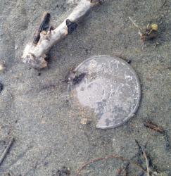 post-27646-0-38457600-1395149072_thumb.j