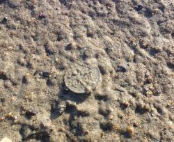 post-27646-0-68107500-1395067666_thumb.j