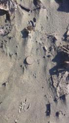 post-27646-0-68479500-1395067525_thumb.j