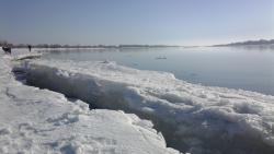 post-27646-0-77077100-1395073785_thumb.j