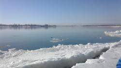 post-27646-0-85030600-1395067472_thumb.j