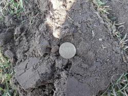 post-27675-0-18823900-1396193481_thumb.j