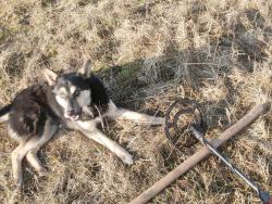 post-27675-0-42818200-1395942882_thumb.j