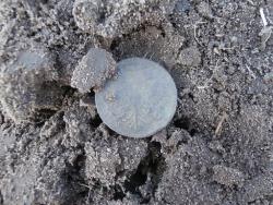 post-27675-0-64756700-1396193384_thumb.j