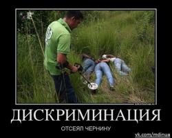 post-27784-0-11343500-1396077794_thumb.j