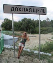 post-27784-0-11534600-1396078023_thumb.j