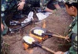 post-27784-0-32989900-1396078029_thumb.j