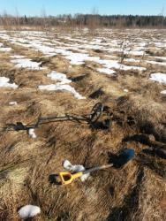 post-27784-0-36188500-1394382618_thumb.j