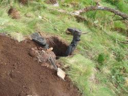 post-27784-0-37641400-1396078171_thumb.j