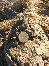 post-27784-0-42652700-1394382587_thumb.j