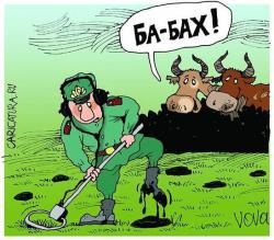 post-27784-0-71705700-1396078039_thumb.j