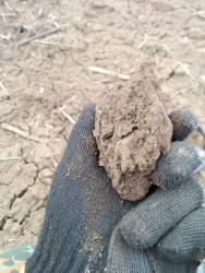 post-28025-0-13197800-1396128261_thumb.j