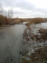 post-28025-0-37907100-1396128264_thumb.j