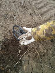 post-28025-0-49812200-1396128256_thumb.j