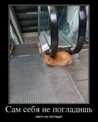 post-28412-0-98302200-1395392739_thumb.j