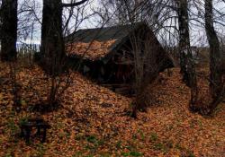 post-29383-0-91837300-1393847703_thumb.j