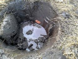 post-29850-0-46445700-1396168783_thumb.j