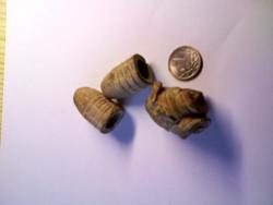 post-30715-0-32543400-1393858186_thumb.j