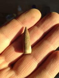 post-30808-0-44452100-1396107555_thumb.j