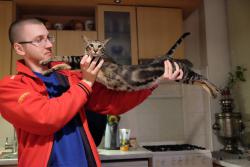 post-413-0-17589500-1394901159_thumb.jpe