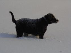 post-4485-0-96298700-1393739952_thumb.jp