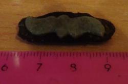 post-4732-0-08239300-1396182027_thumb.jp