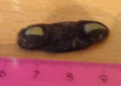 post-4732-0-13066100-1396182038_thumb.jp