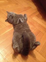 post-4820-0-30188100-1394947332_thumb.jp