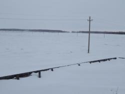 post-4989-0-47936900-1395562779_thumb.jp