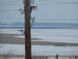 post-4989-0-99803000-1395562875_thumb.jp