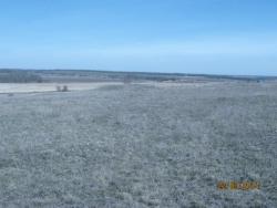 post-6890-0-59915000-1395515530_thumb.jp