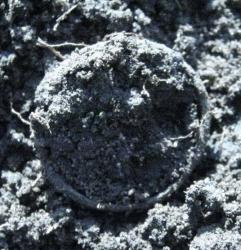 post-6890-0-60007400-1395769810_thumb.jp