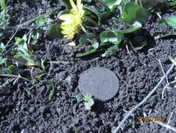 post-6890-0-96352600-1395763118_thumb.jp