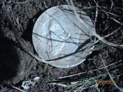 post-6890-0-98769600-1395516409_thumb.jp